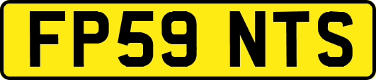 FP59NTS