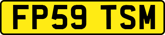 FP59TSM