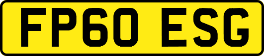 FP60ESG