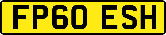 FP60ESH