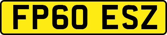 FP60ESZ