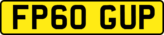 FP60GUP