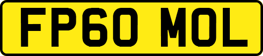 FP60MOL