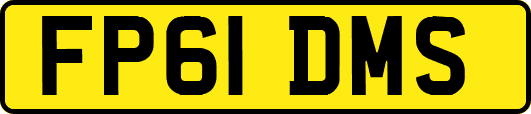 FP61DMS