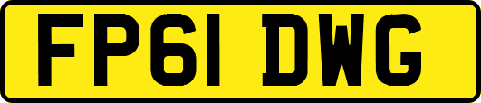 FP61DWG