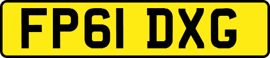 FP61DXG