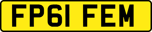 FP61FEM
