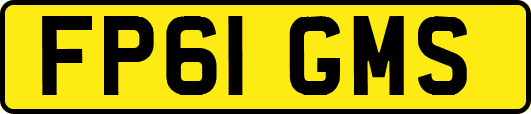 FP61GMS