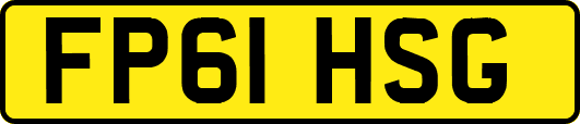 FP61HSG