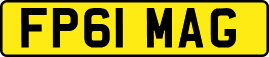 FP61MAG