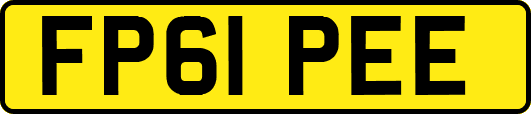 FP61PEE