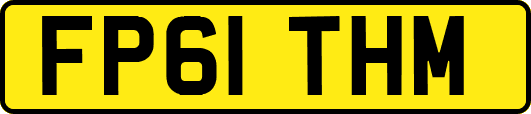 FP61THM