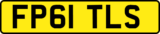 FP61TLS