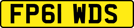 FP61WDS