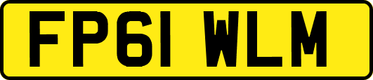 FP61WLM