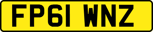 FP61WNZ