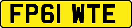 FP61WTE