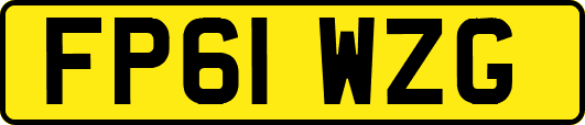 FP61WZG