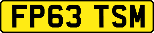 FP63TSM