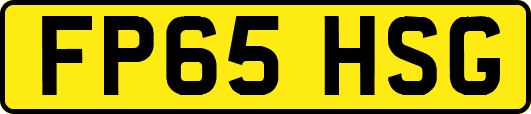 FP65HSG