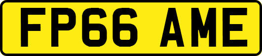 FP66AME