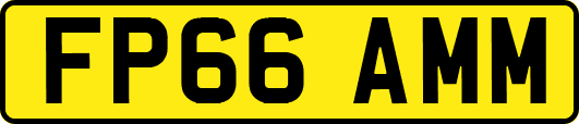 FP66AMM