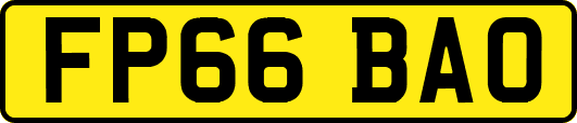 FP66BAO