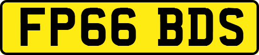 FP66BDS