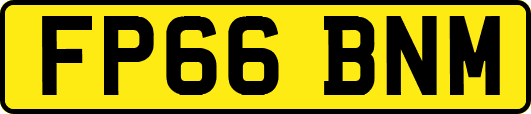 FP66BNM