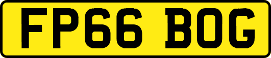 FP66BOG