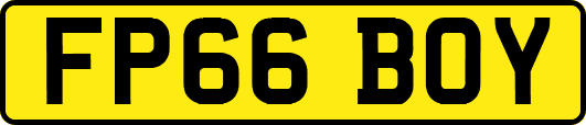 FP66BOY