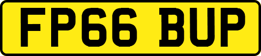 FP66BUP
