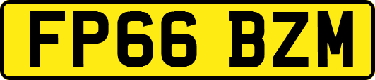 FP66BZM