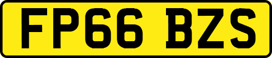 FP66BZS