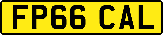 FP66CAL