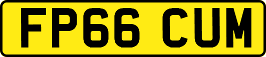 FP66CUM