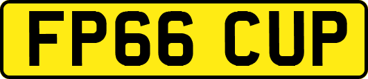 FP66CUP