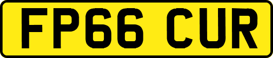 FP66CUR