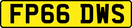 FP66DWS