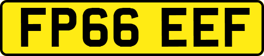 FP66EEF