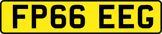 FP66EEG