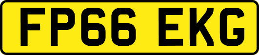 FP66EKG