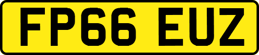 FP66EUZ