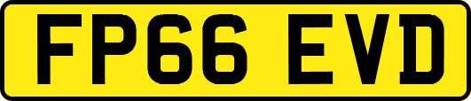 FP66EVD
