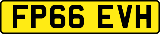 FP66EVH