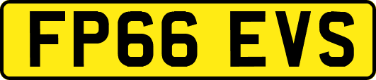 FP66EVS