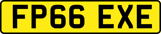 FP66EXE