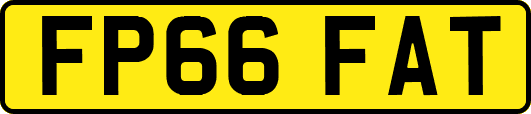FP66FAT