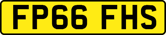 FP66FHS