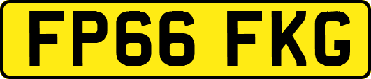 FP66FKG